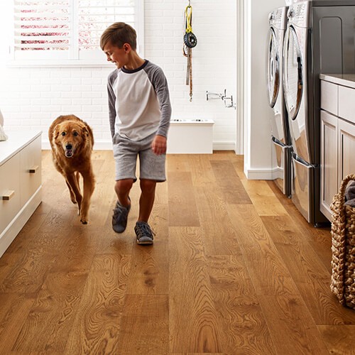 Dog and kid playing | Yates Flooring